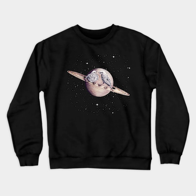 Space Sparrows Crewneck Sweatshirt by jamesormiston